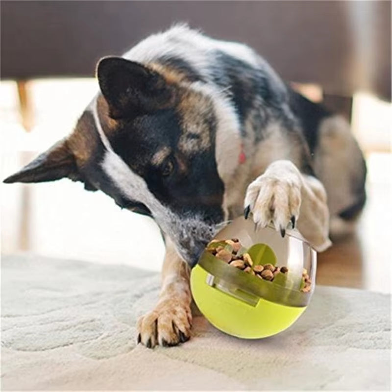 Interactive Cat Toy IQ Treat Ball Smarter Pet Toys Food Ball Food Dispenser for Cats Playing Training Balls Pet Supplies