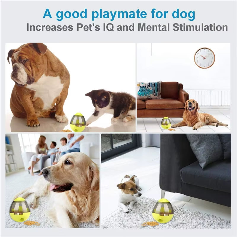 Interactive Cat Toy IQ Treat Ball Smarter Pet Toys Food Ball Food Dispenser for Cats Playing Training Balls Pet Supplies